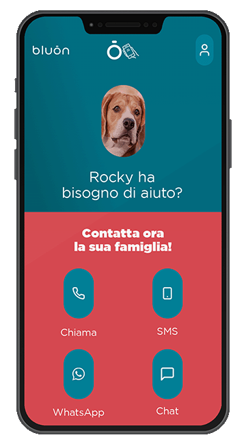 Collare Semiperdo - immagine 3