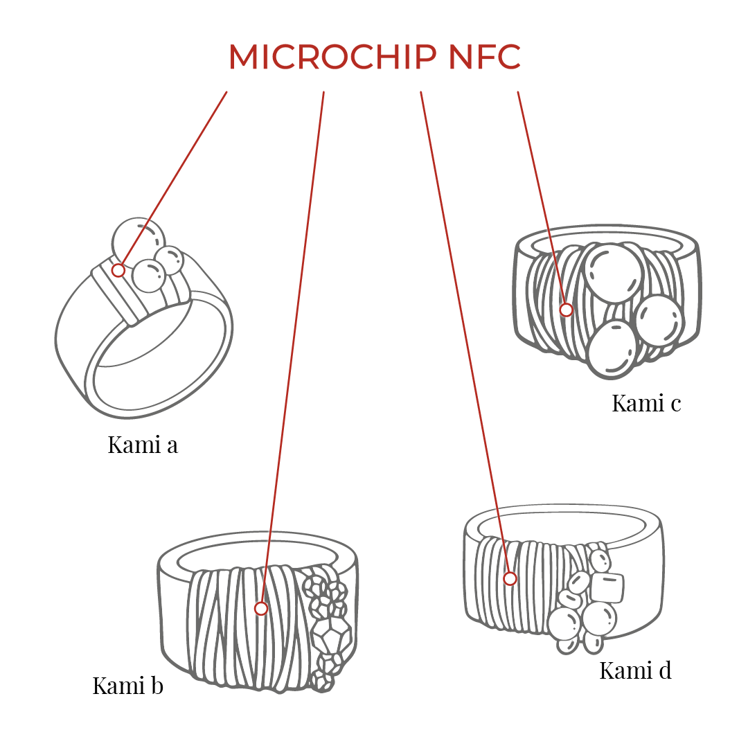 Kami NFC Mobile